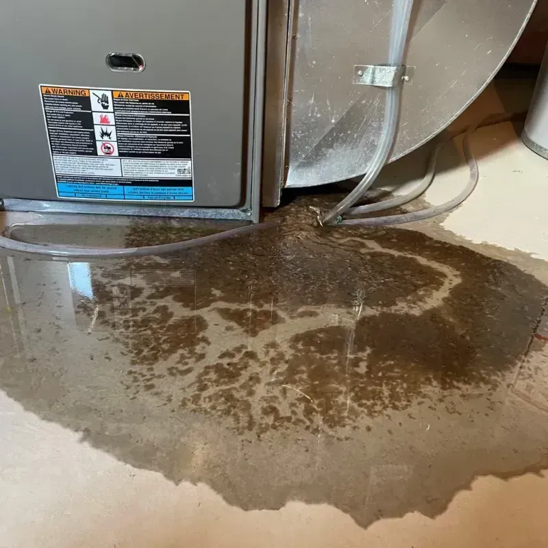 Appliance Leak Cleanup in Moundridge, KS